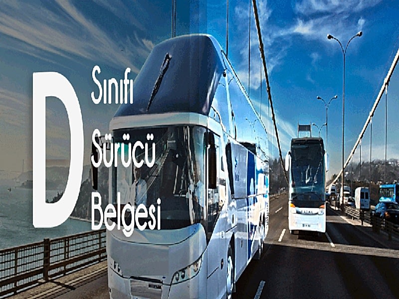 D Sınıfı Otobüs Ehliyeti